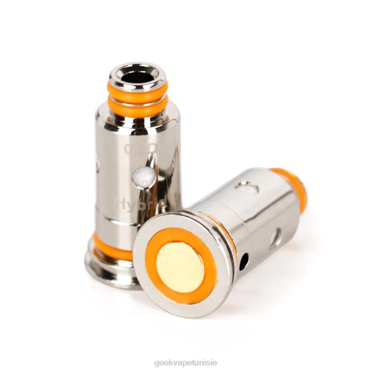 GeekVape Boutique - GeekVape Bobine série G 5 pièces/paquet g1,0 ohm ZJ6P23