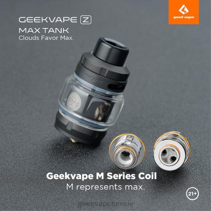 GeekVape Cigarette Electronique - GeekVape Bobine série m 5 pièces/paquet m0.3 double bobine ZJ6P21