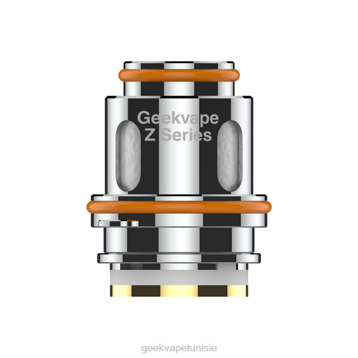 GeekVape Cigarette Electronique - GeekVape Bobine série z 5 pièces/paquet z0,25 (double) ohm ZJ6P5